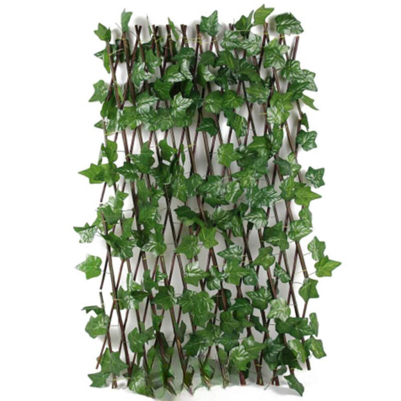 ograda ukrasna bršljan 120 cm