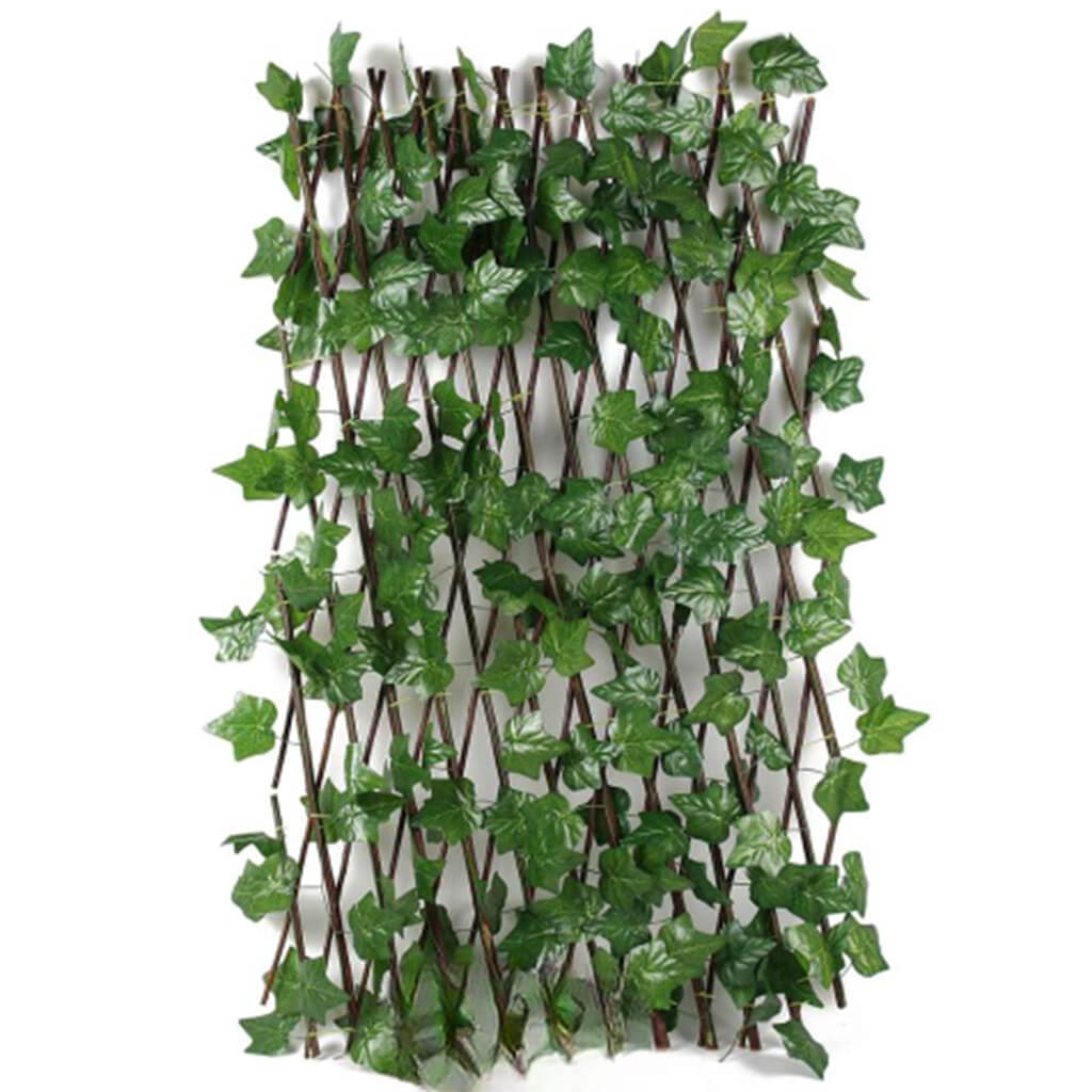 ograda ukrasna bršljan 120 cm