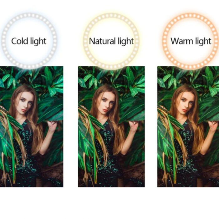 bm-company-ring-light-2 Ring Light - Image 3