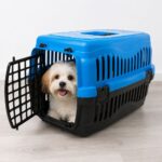 Prenosivi transporter za pse i mačke za putovanja i veterinarske posjete