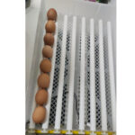 Automatski Inkubator Za Jaja - Image 5