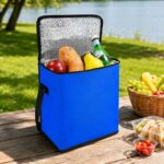 Izolaciona torba 36x31x31 cm za plažu, piknik i putovanja