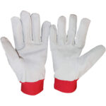 Rukavice Golf - veličina 10 - XL - Image 2