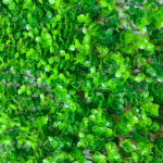 Umjetni Zeleni Zid 60x40cm - Image 2