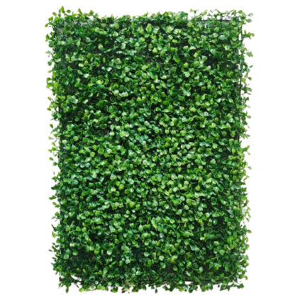 Zeleni Zid 60x40cm 520-1