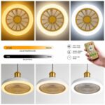 Ventilator za Plafon sa LED Rasvjetom