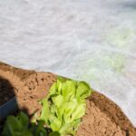 Agrotekstil za biljke širine 2 m i dužine 100 m za vrt i plastenik