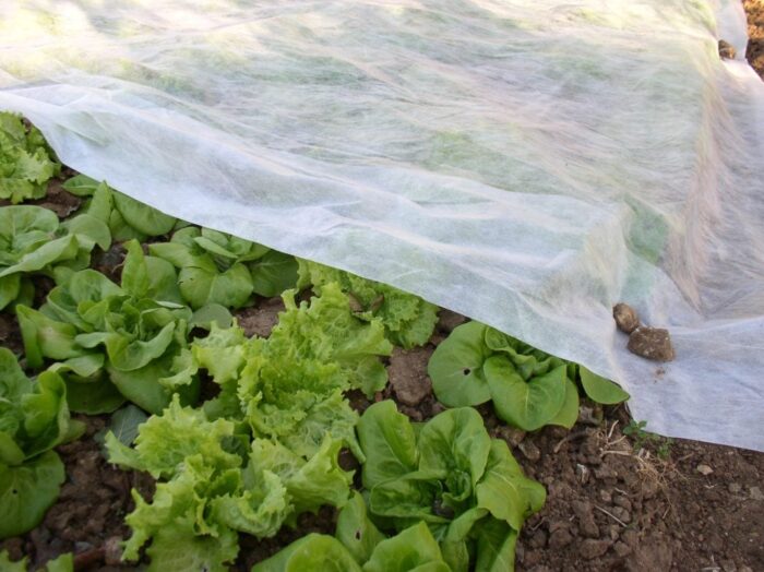 Agril Folija – Agrotekstil – Paučina 23gr 2m x 100m - Image 2