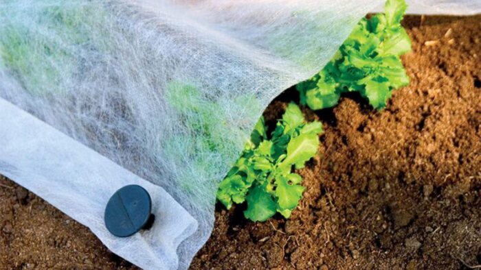 Agril Folija – Agrotekstil – Paučina 23gr 2m x 100m - Image 3