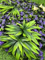 Dekorativno Zelenilo Virella 50x50cm Zidni Panel sa Vještačkim Biljkama, UV Otporno - Image 3