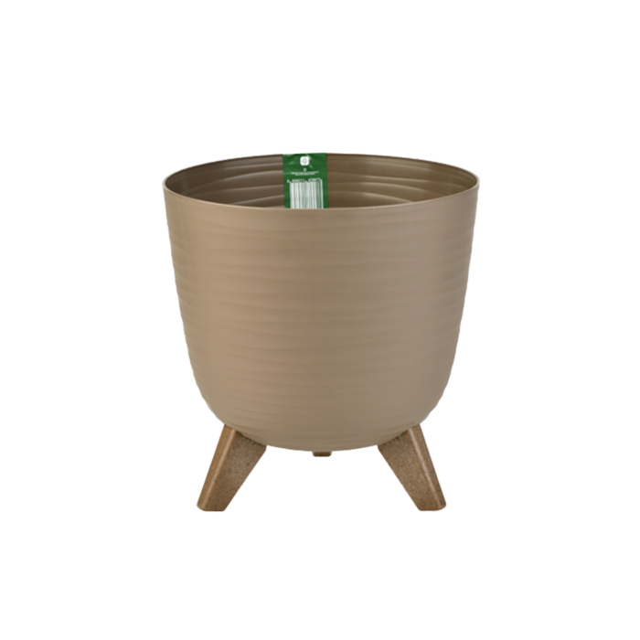 Saksija Ancona - Image 2