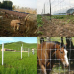 Farmer Pletivo - Image 2