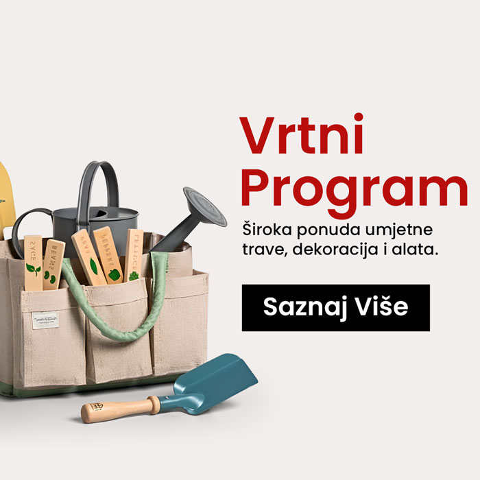 VProgram-2