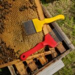 Pčelarska viljuška za saće omogućava precizno otklapanje ćelija i pripremu okvira za vađenje meda