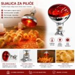 Grijaća sijalica za piliće i mladu perad