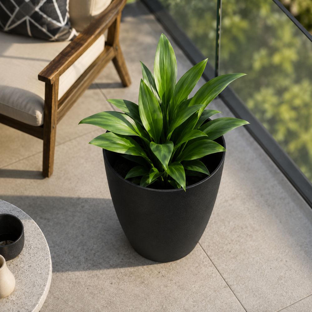 Plastična crna saksija 24×20,5 cm idealna za cvijeće, začinsko bilje i ukrasne biljke.