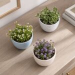 Saksija kamenog izgleda dimenzija 23,5 × 19,5 cm idealna je za uređenje doma, balkona, terase ili vrta