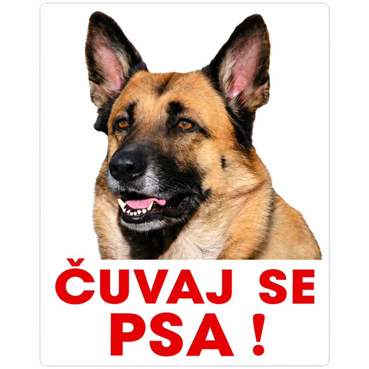 Naljepnica Čuvaj se psa 20×30 cm